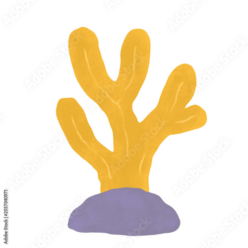 Yellow Coral Illustration on Rock
