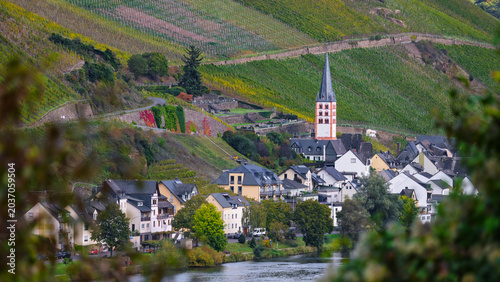 Bild auf Leinwand Moselle river village and vineyards in autumn