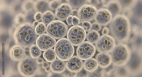 Microscopic view of organic cell clusters in a scientific setting