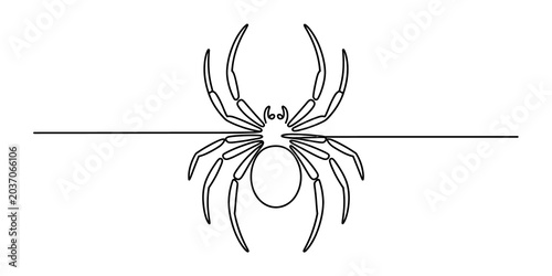Photos Simple line drawing of a spider with eight legs and a detailed body, facing upwa
