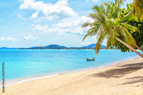 Sea beach landscape, paradise tropical island, turquoise ocean water, small boat, green coconut palm tree leaves, exotic nature, hot sunny day, summer holidays, vacation, travel, Thailand, Koh Samui