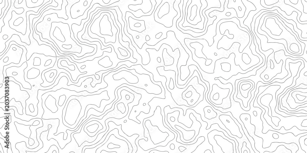 Fototapeta premium Minimalist grey topographic contour lines pattern on white background for clean modern interface and digital design aesthetics.