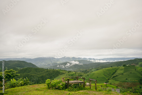 ecology travel with camping outdoor relax in rice field at chiangmai thailand in raining season