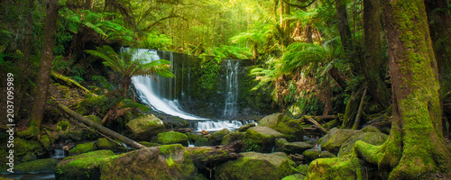 Horseshoe Falls in Mount Field National Park