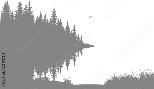 Photography Serene forest reflection on calm water with birds in sky