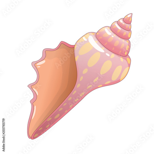 Obraz na płótnie Pink triton seashell illustration, stylized spotted sea snail shell with wavy ri