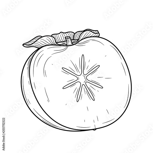 Hand Drawn Persimmon Fruit With Leaf.