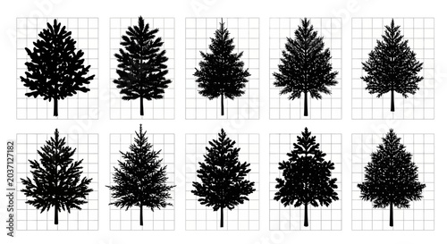 Collection of black silhouette pine tree graphics on grid background for design projects