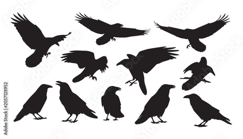 Konstfotografi black and white silhouette set of Crows very high quality vector illustration