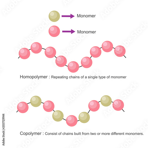 Homopolymer and copolymer.