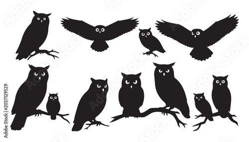 black and white silhouette set of owl very high quality vector illustration.