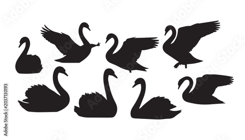 black and white silhouette set of Swans very high quality vector illustration.