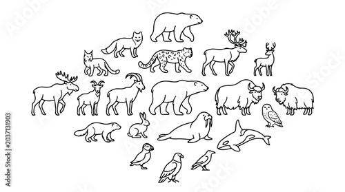 Arctic animals line art collection, 20 polar wildlife vector icons, minimalist northern fauna illustrations for educational books and nature branding