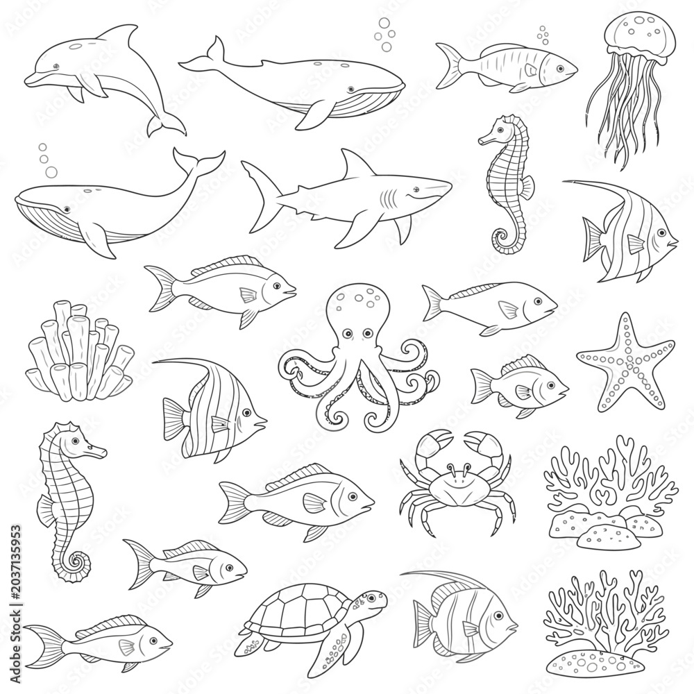 Obraz premium Various sea creatures illustrations.