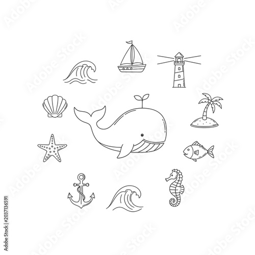 Whale sea animal ocean creature.