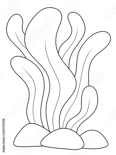 digital hand draw for coloring page seaweed