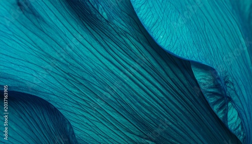 Deep Teal Abstract Botanical Macro Collection — Turquoise Leaf Texture Luxury Nature Background