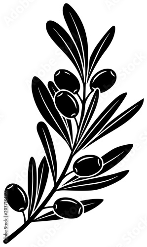 branch illustration olive silhouette plant logo leaf icon food outline oil nature natural tree mediterranean fresh leaves vegetable element shape men vector graphic background