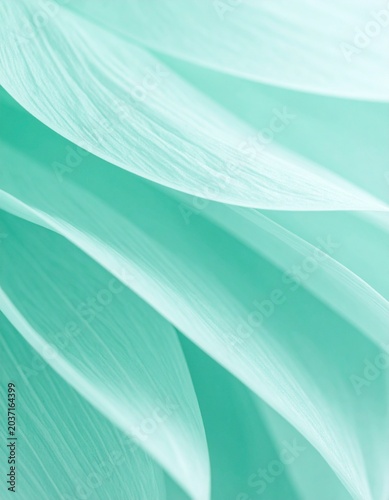 Deep Teal Abstract Botanical Macro Collection — Turquoise Leaf Texture Luxury Nature Background