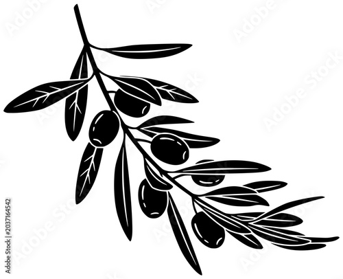 branch illustration olive silhouette plant logo leaf icon food outline oil nature natural tree mediterranean fresh leaves vegetable element shape men vector graphic background
