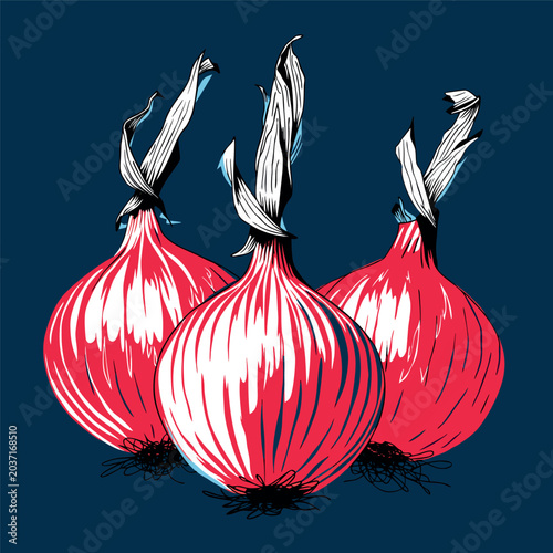 Hand-drawn red onion vector illustration, bold outlines, detailed organic texture, vintage vegetable art style, isolated on dark blue background, colorful flat design, fresh farm produce illustration
