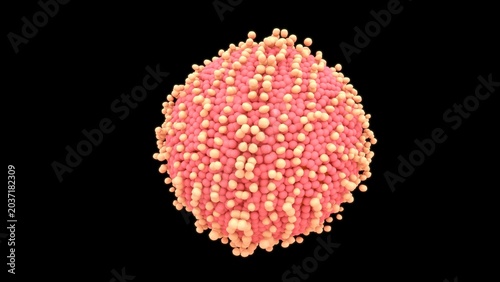Fotografie The human ovum is a large, spherical, non-motile cell measuring about \(120 \text{ } \mu \text{m}\) in diameter