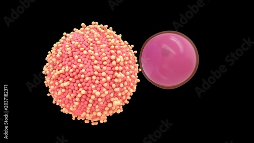 Bild auf Leinwand The human ovum is a large, spherical, non-motile cell measuring about \(120 \text{ } \mu \text{m}\) in diameter