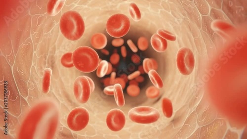 Intricate dance of red blood cells flowing gracefully through a human vein inner landscape