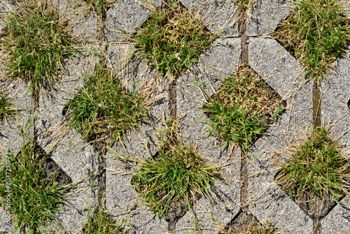 Top view of permeable concrete grid pavers with vibrant green grass tufts growing through the open spaces of the eco friendly driveway structure