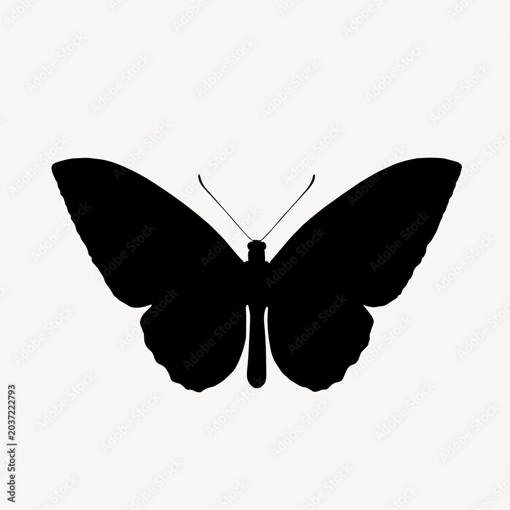 Fototapeta premium Black butterfly silhouette, black flat graphic on white background