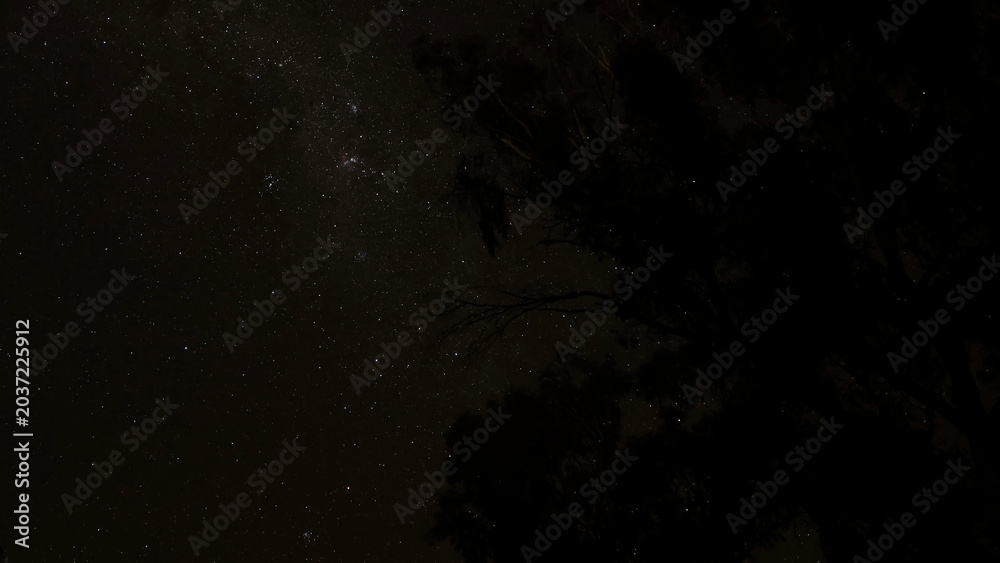 Obraz premium Starry Night Sky with Dark Silhouettes of Trees and Milky Way