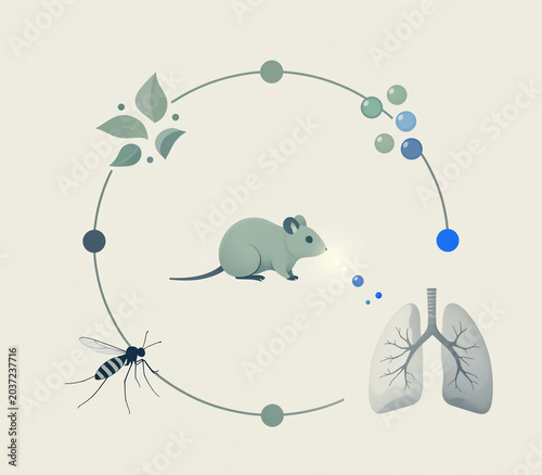 Viral Transmission Cycle Infographic: Modern Public Health Diagram