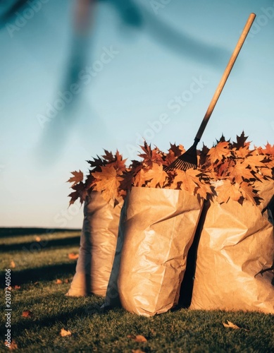 Sustainable Autumn Garden Cleanup with Biodegradable Paper Bags and Rake on Lawn during Sunset Golden Hour