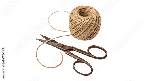 Tableau sur toile Natural jute twine rope spool with metal scissors isolated on transparent backgr