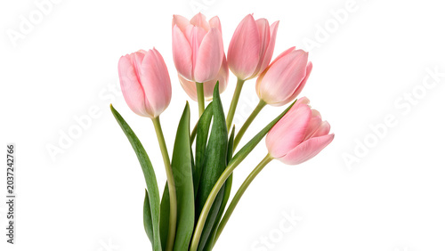 Foto Beautiful diverse bundle bouquet of pink tulip flowers isolated on transparent b