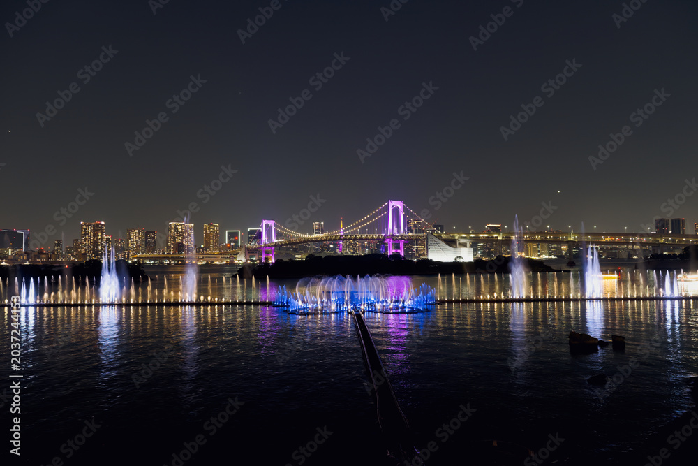 Fototapeta premium 東京湾に咲く光の花