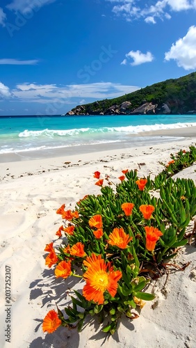 Vibrant beach flowers by ocean shore.