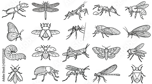 Fotografía Vintage insect line art collection, 20 detailed bug sketches in vector format, h