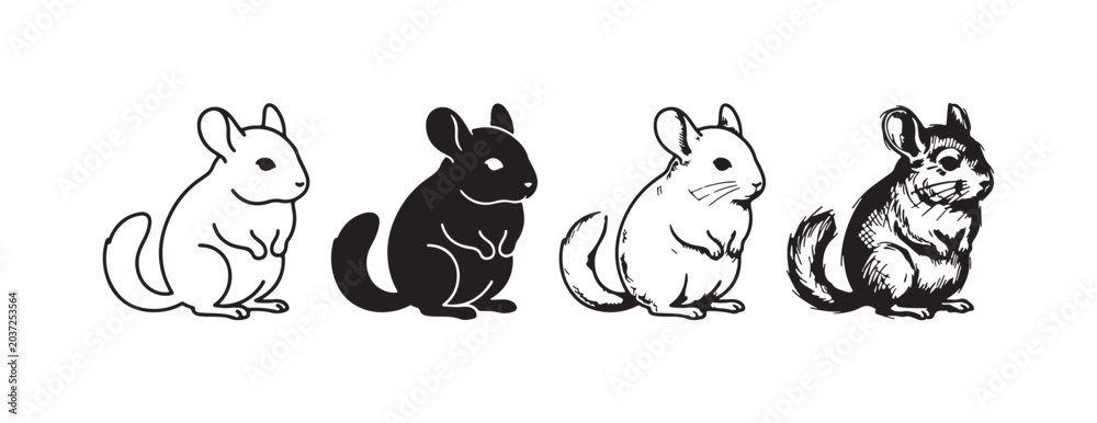 Obraz premium Chinchilla Sitting Profile View Icon Set in Line Art, Silhouette, Etching, and Sketch Styles