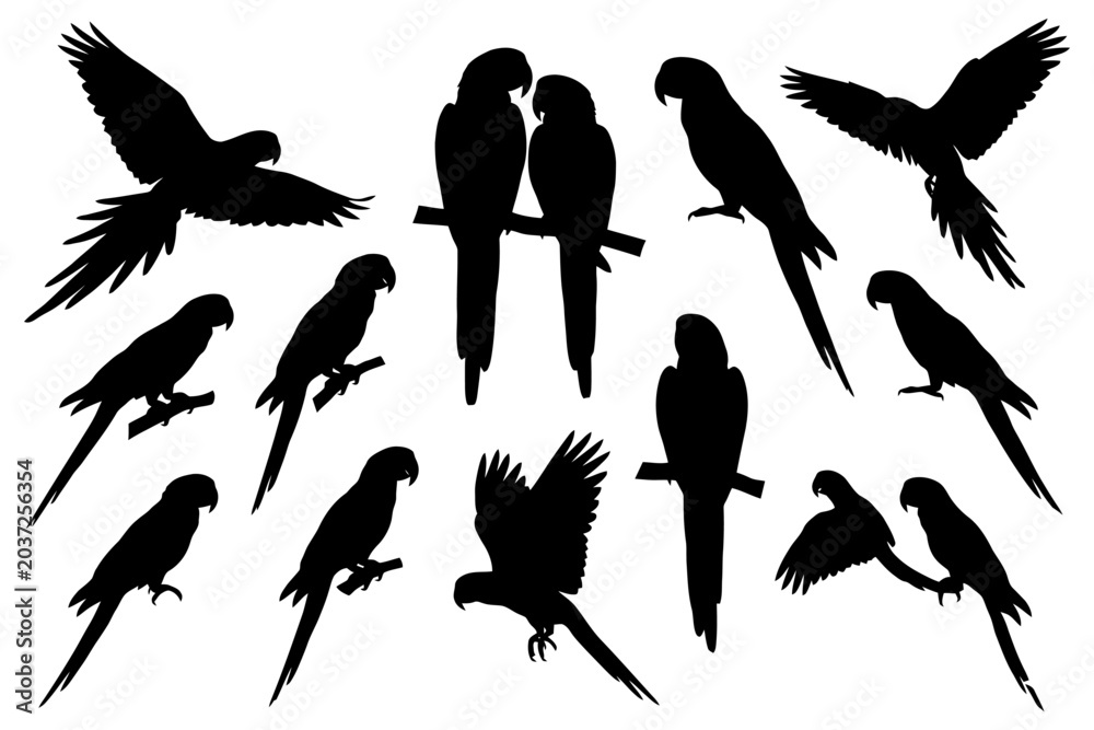 Obraz premium Silhouettes of parrots in various poses on white background.