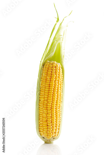 Fresh corn cob, close-up