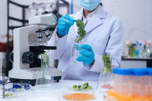 Fotografía Eco laboratory microbiology