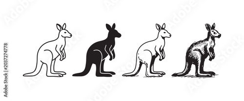 Photography Kangaroo Icons: Line, Silhouette, and Hand-Drawn Wildlife Illustrations