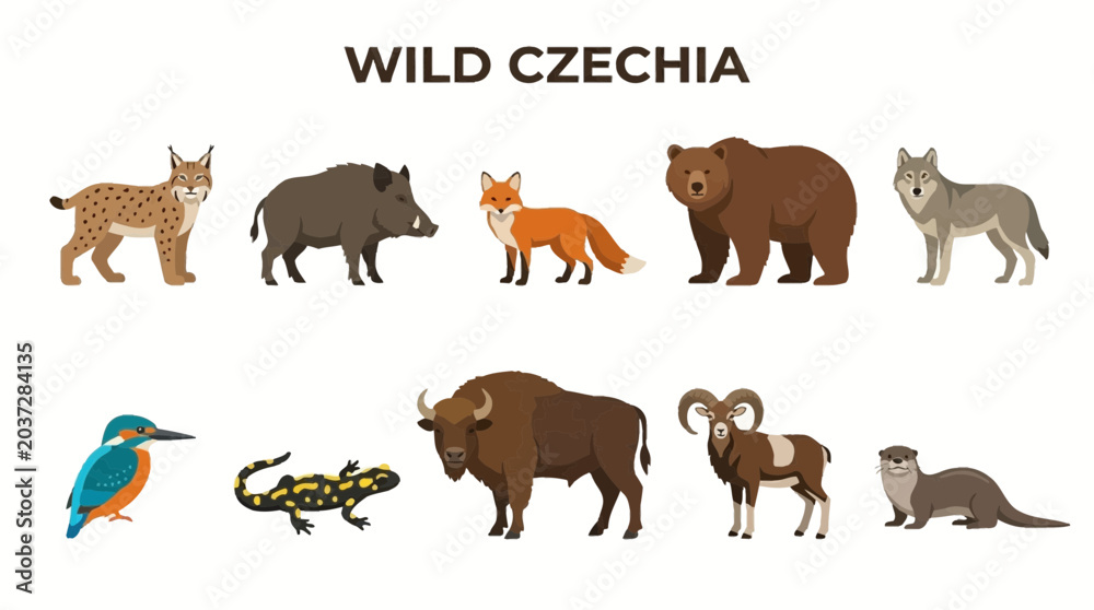 Obraz premium Collection of Wild Animals Found in Czechia.