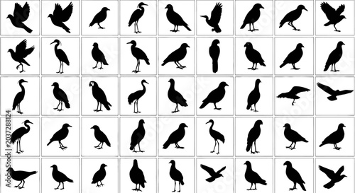 Fotografie vector silhouettes of dancing girls