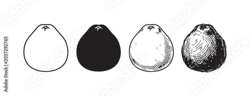Foto Pear fruit with calyx indentation in various art styles: line art contour, solid silhouette, light etching and hatching, and rough doodle sketch