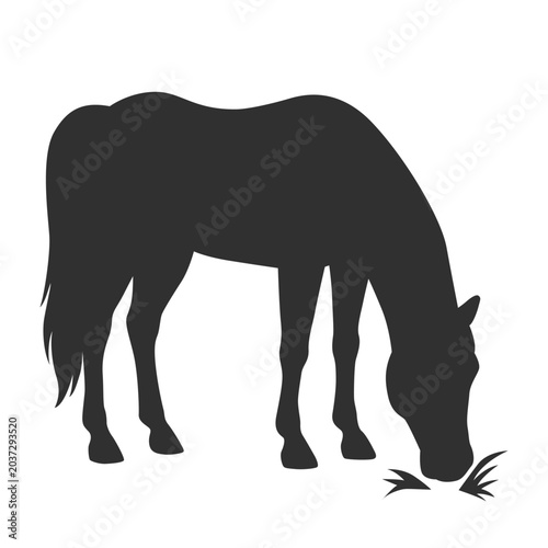 A full-length black silhouette of a grazing horse, side view. Vector illustration on a white background