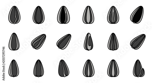 Collection of various sunflower seeds.