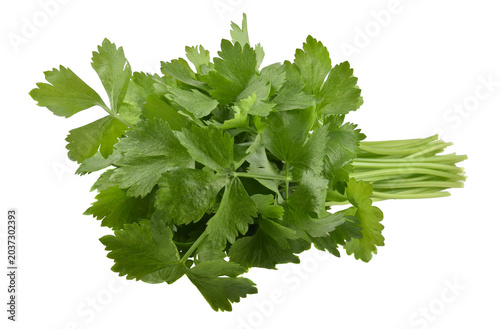 Konstfotografi Celery isolated on white background