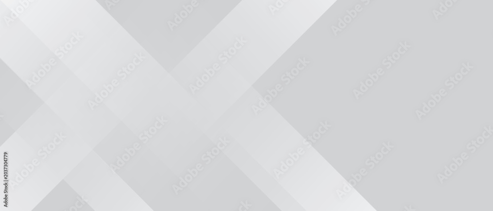 Obraz premium Abstract white and gray geometric diagonal lines background eps10
